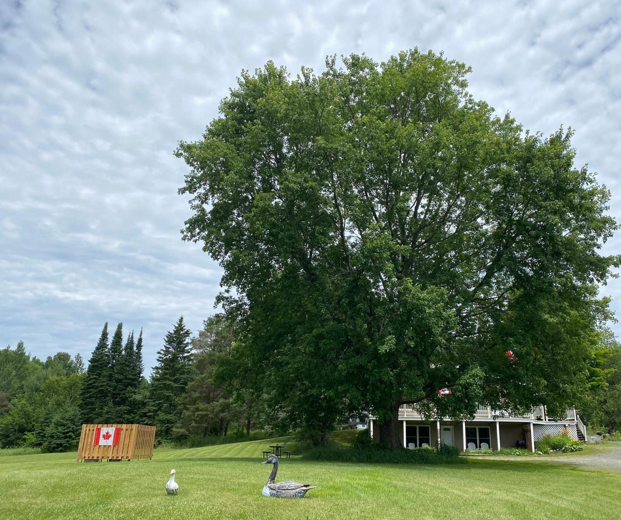 Our Place Up North Bnb Huntsville Exteriér fotografie